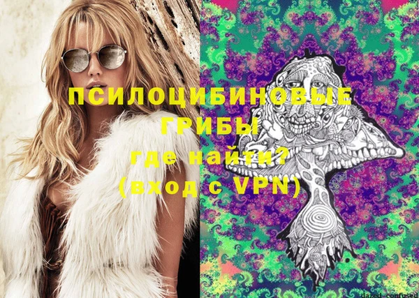 метадон Гусь-Хрустальный