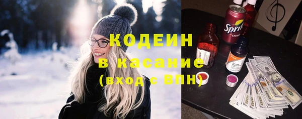 амф Гусев