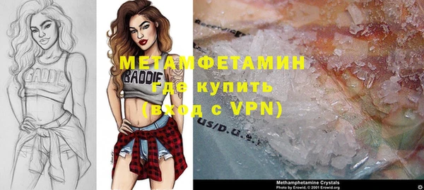амф Гусев