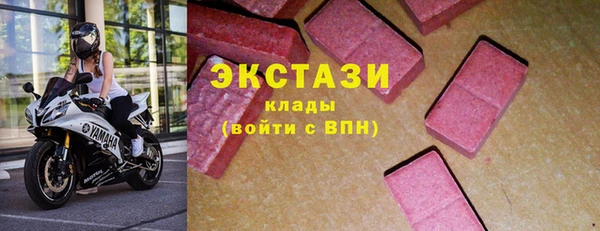 амф Гусев